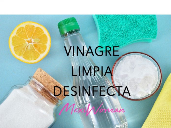 VINAGRE-1024x768