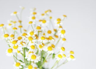 El Secreto para Evitar la Inflamación Abdominal en una Infusión.