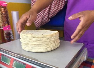 Aumenta El Precio de La Tortilla en Diciembre