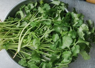 Beneficios de  Tomar Té de Cilantro