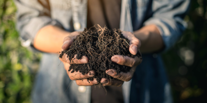 compost2