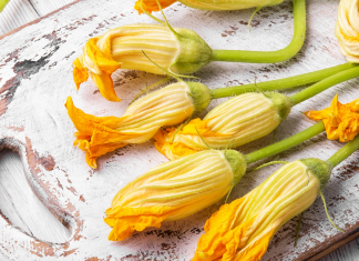 Sopa de Flor de Calabaza