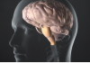 Día Mundial De La Enfermedad Vascular Cerebral